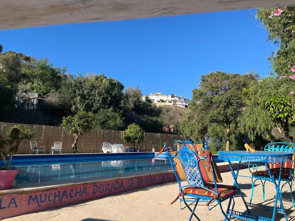 Swimming pool, sunbed