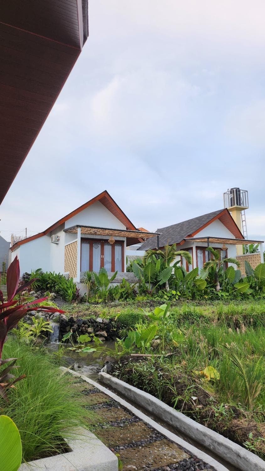 Property building, Garden, Garden view