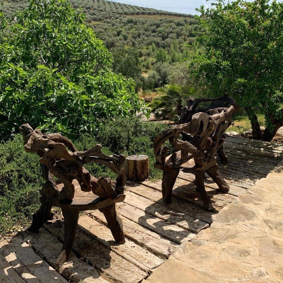 Day, Natural landscape, Garden, Garden view