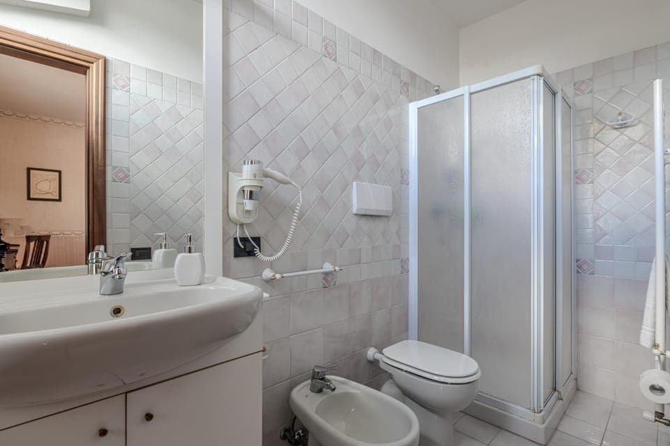 Shower, Toilet, Bathroom, bidet