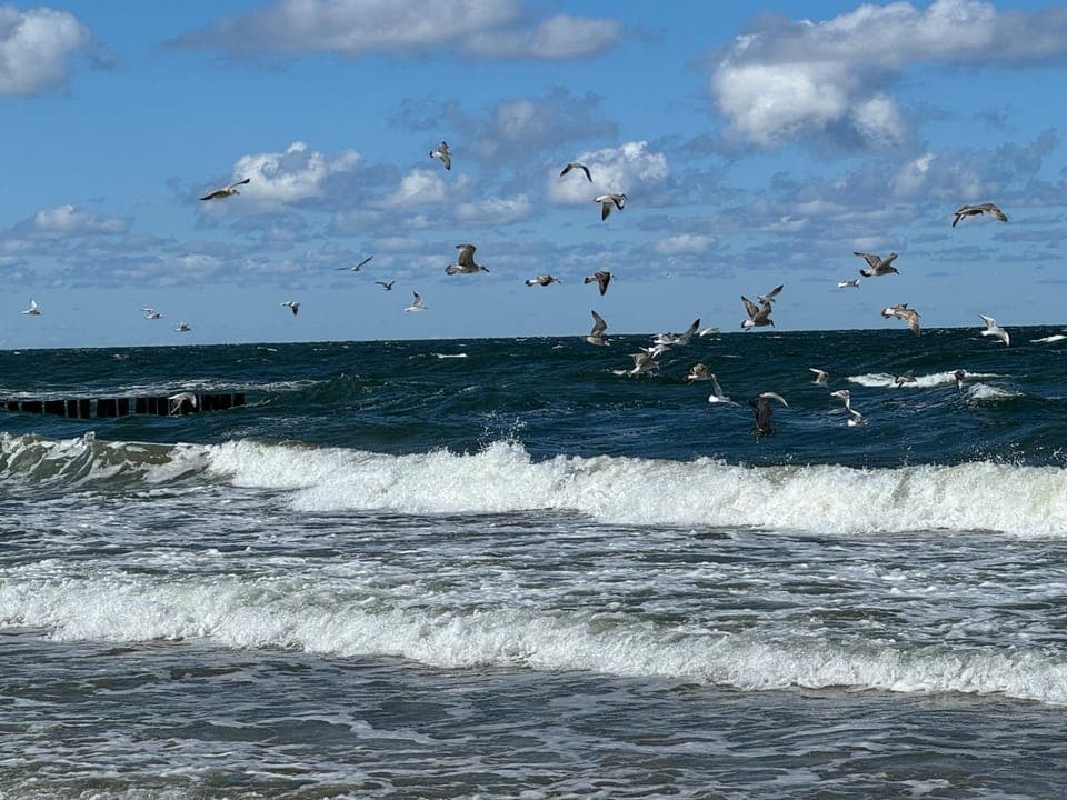 Natural landscape, Sea view