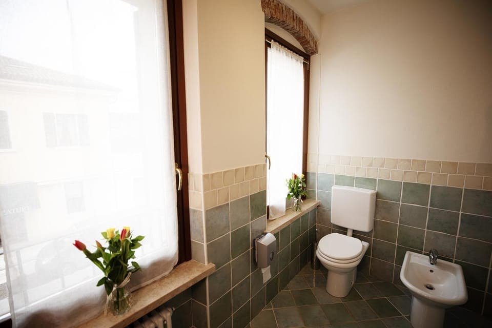 Shower, Toilet, Bathroom, bidet