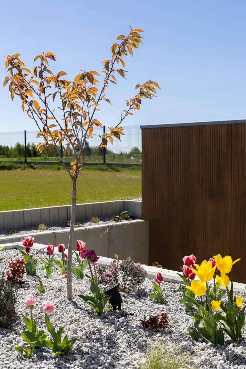 Spring, Garden, Garden, Garden view, Garden view