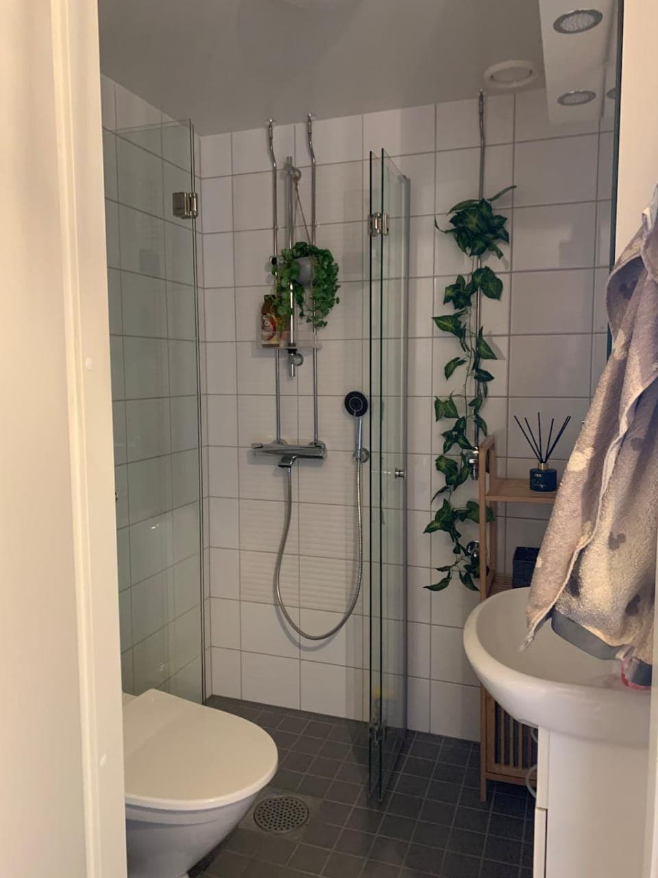 Shower, Toilet, Bathroom