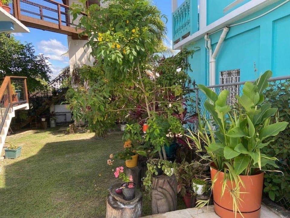 Casa Maruka House in San Ignacio
