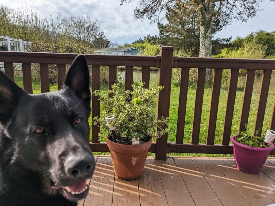 Balcony/Terrace, Pets, Garden view, Lake view