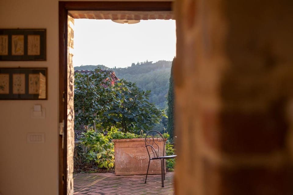 Patio, Balcony/Terrace