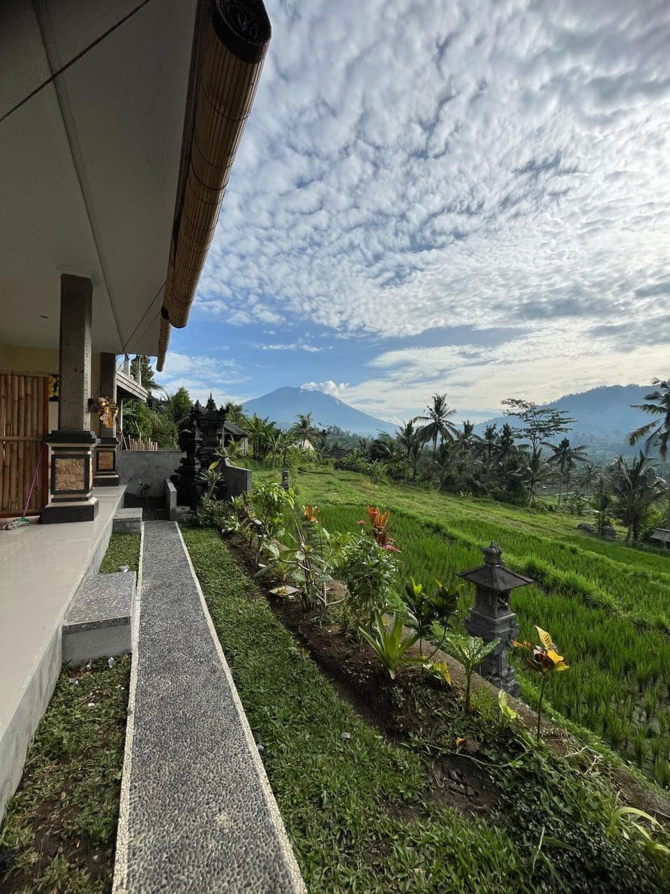 Natural landscape, Garden, Garden view
