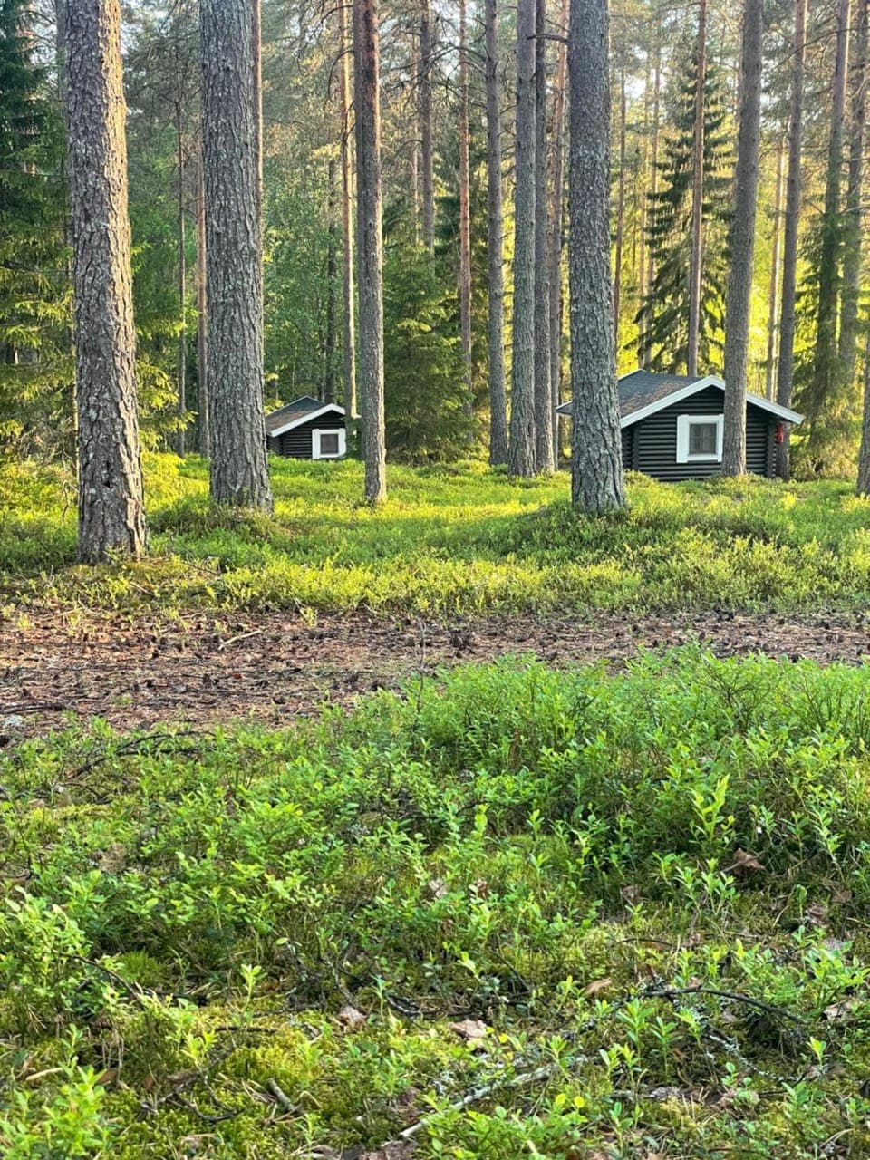 Property building, Day, Natural landscape