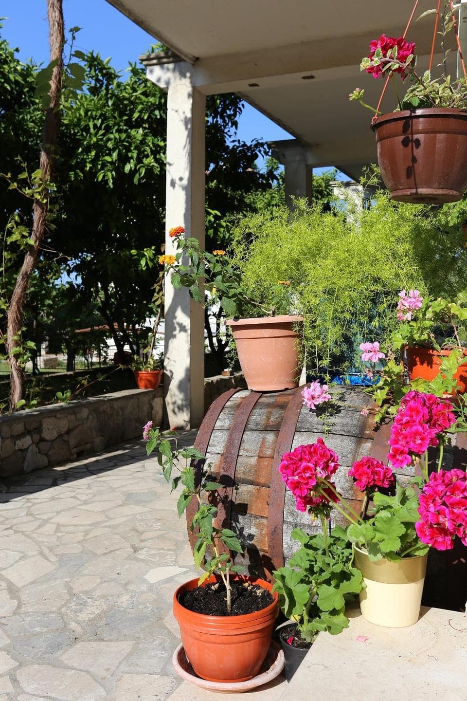 Location, children, Family