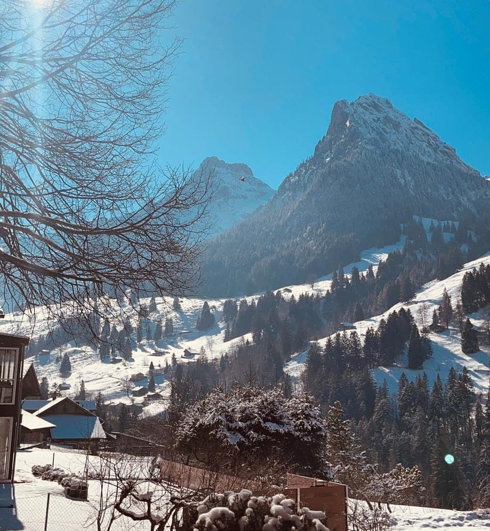 Natural landscape, Winter, Mountain view