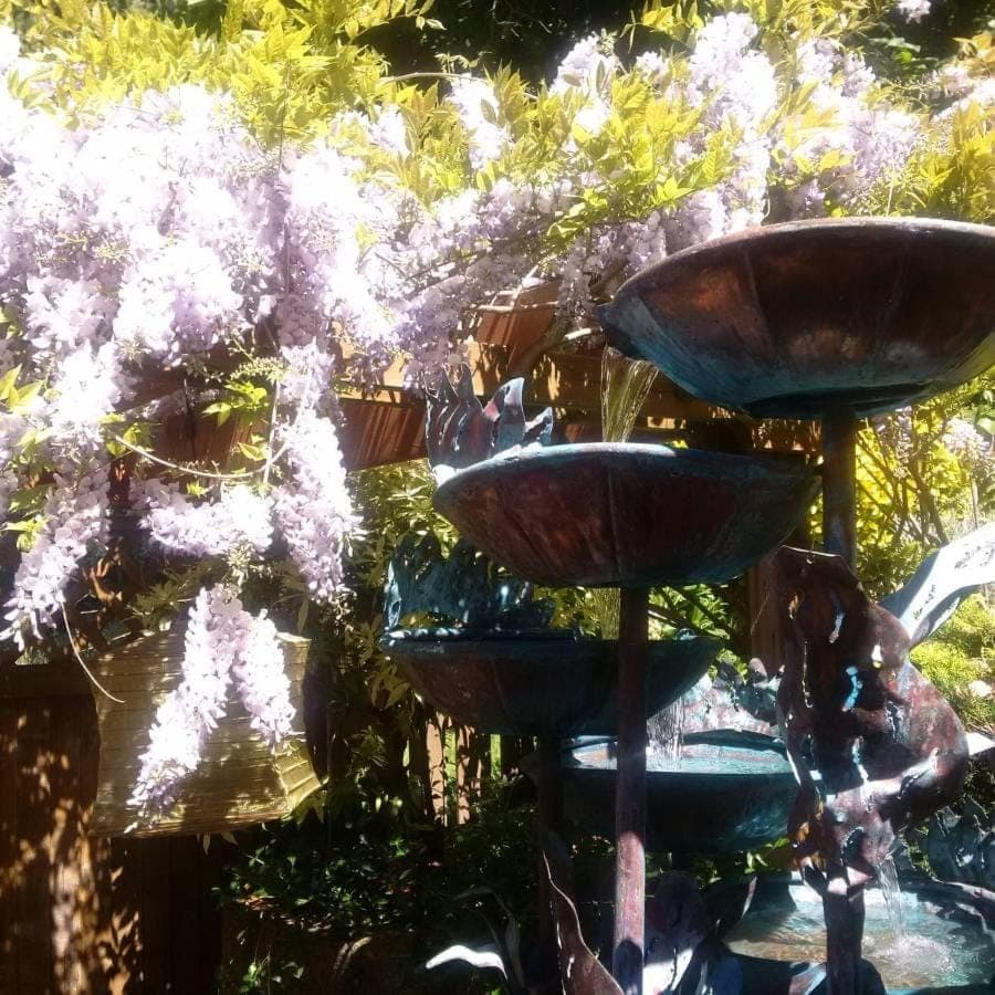 Patio, Spring, Summer, View (from property/room)