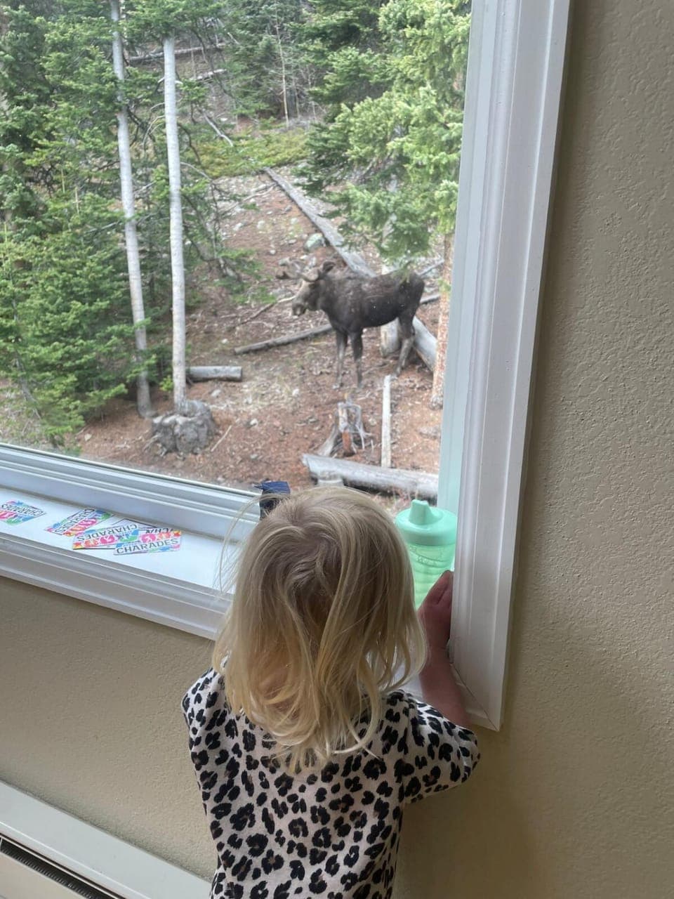 Animals, children