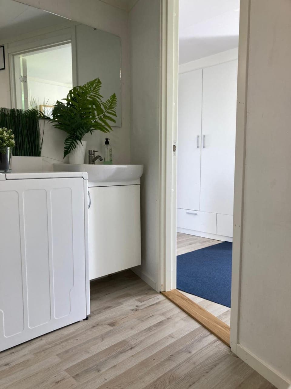 Bathroom, wardrobe, washing machine