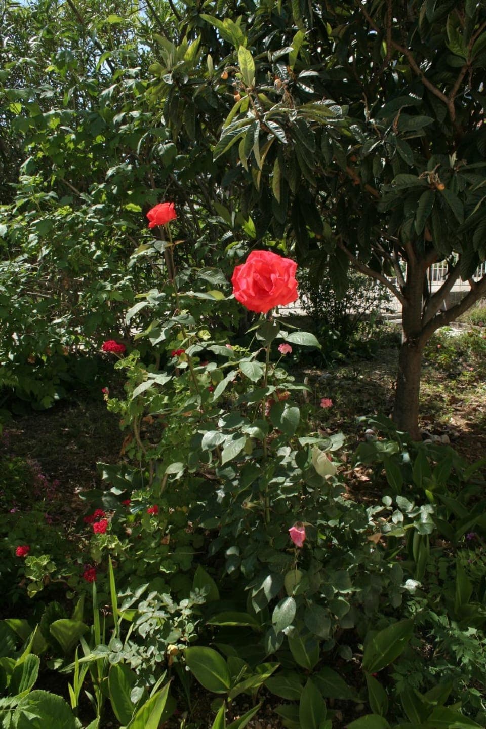 Location, children, Family