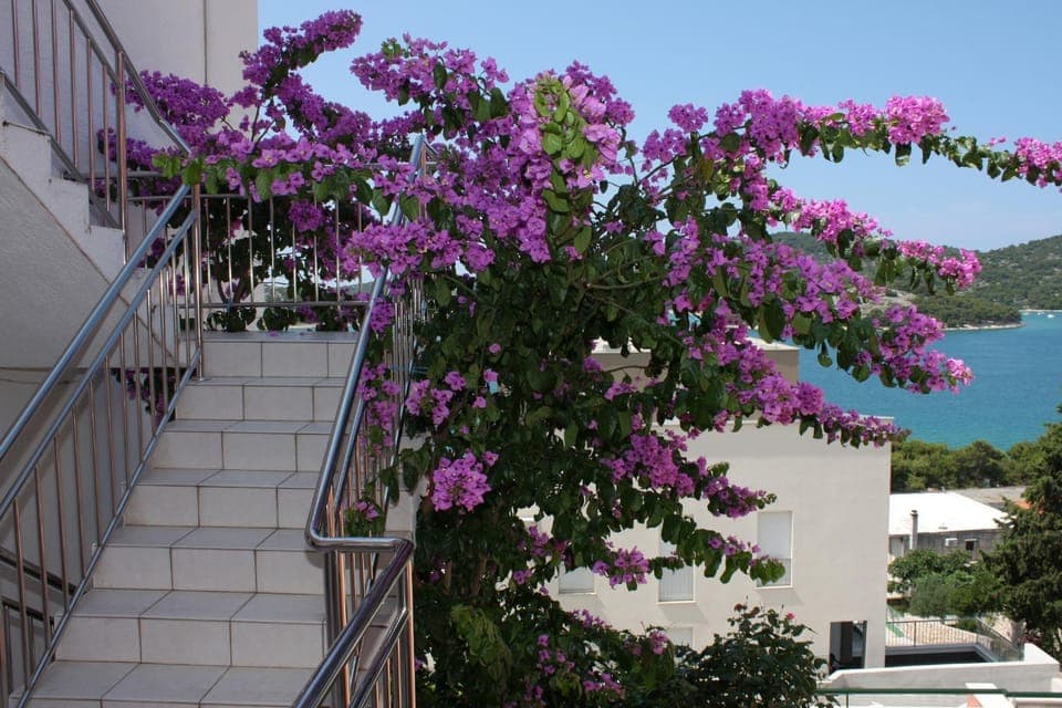 Location, children, Family