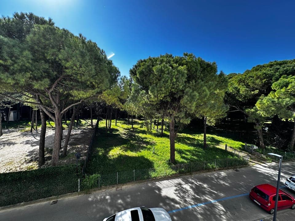 Neighbourhood, Natural landscape, Garden view