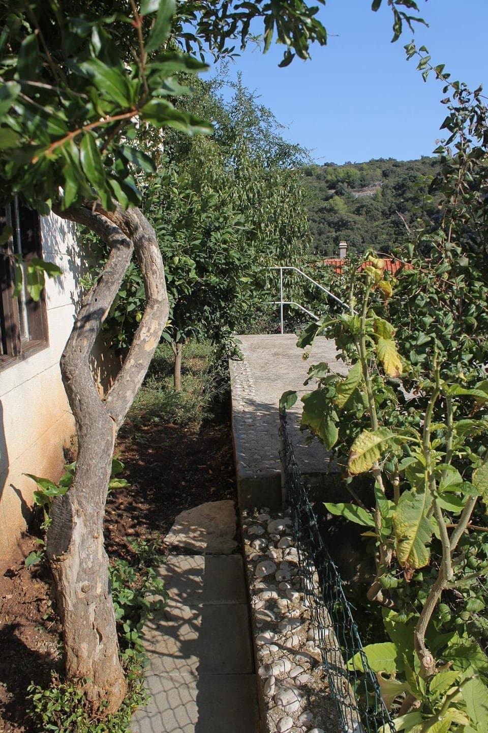 Location, children, Family