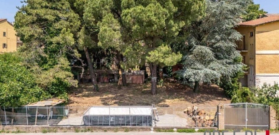 Garden, Swimming pool