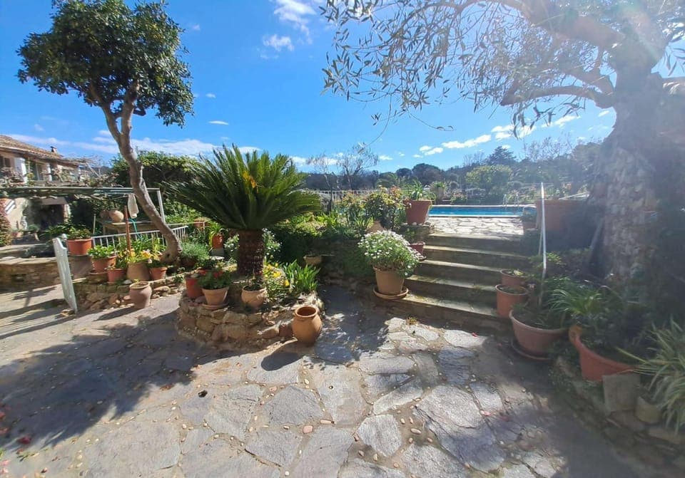 Garden view, Swimming pool