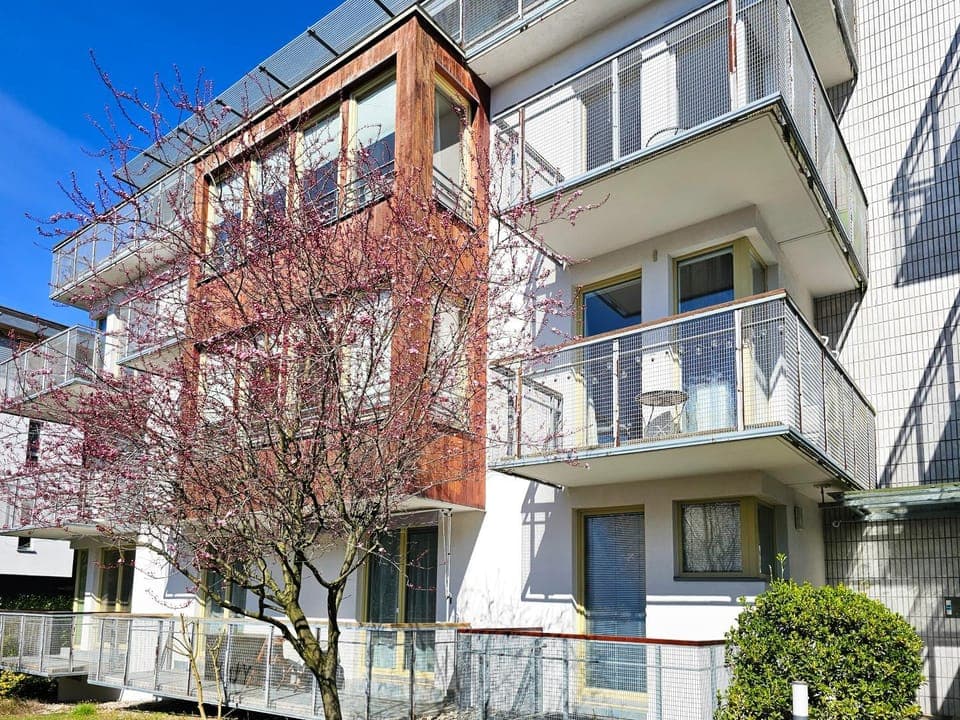 Property building, Day