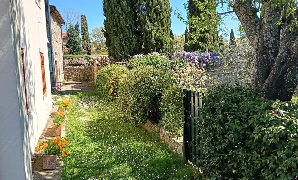 Spring, Day, Garden, Garden view