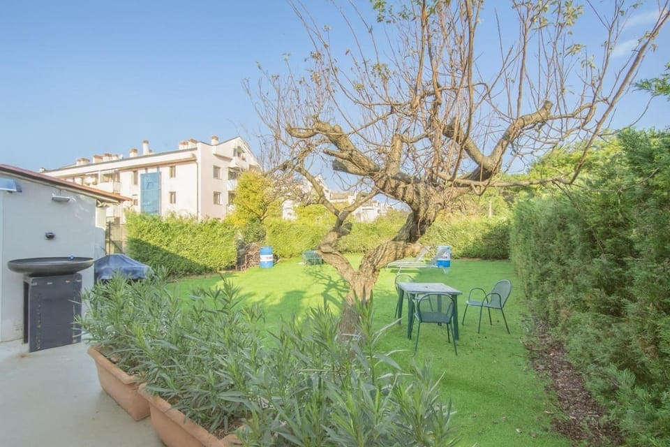 Day, Natural landscape, Garden, Garden view