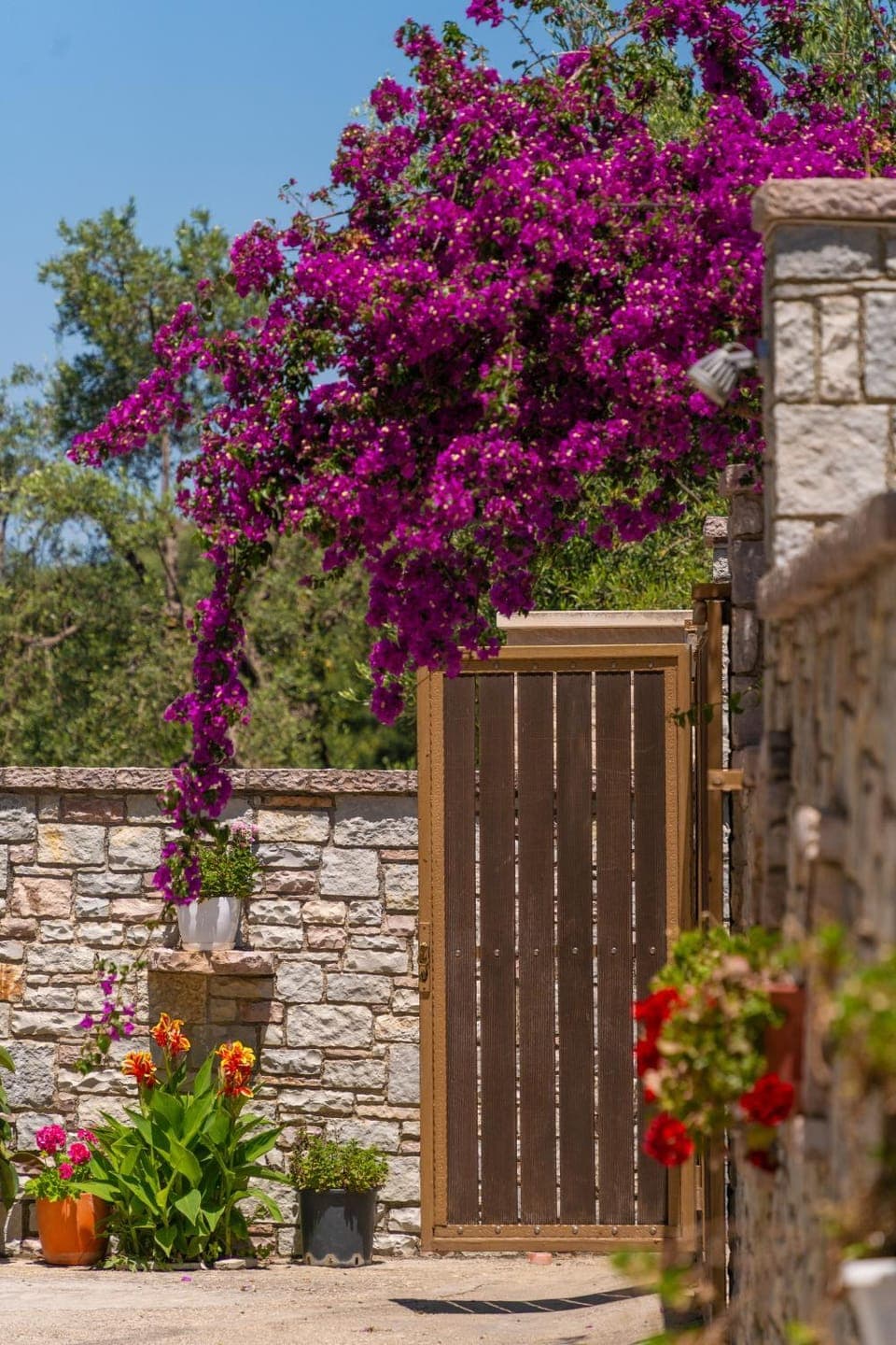 Spring, Day, Garden, Garden view