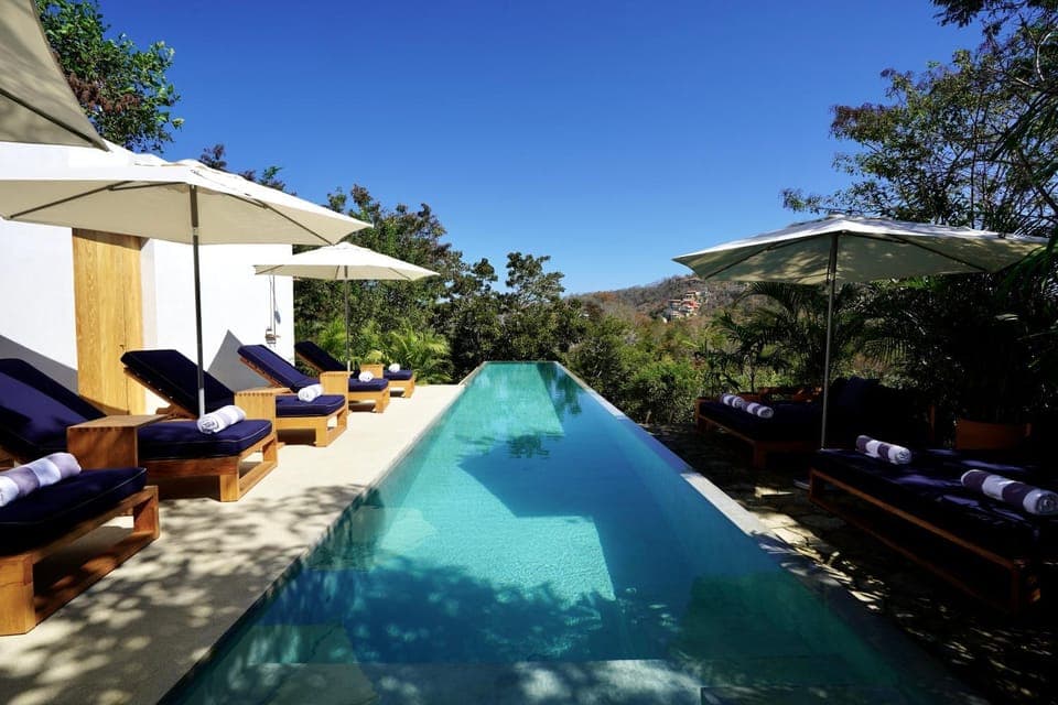 Day, Garden view, Swimming pool, sunbed