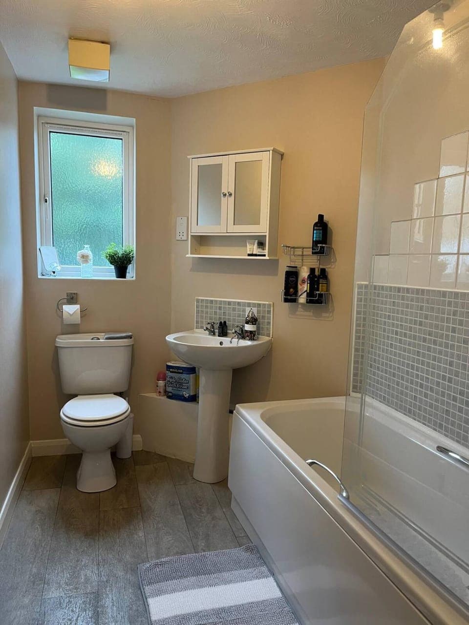 Toilet, Bathroom, Bath