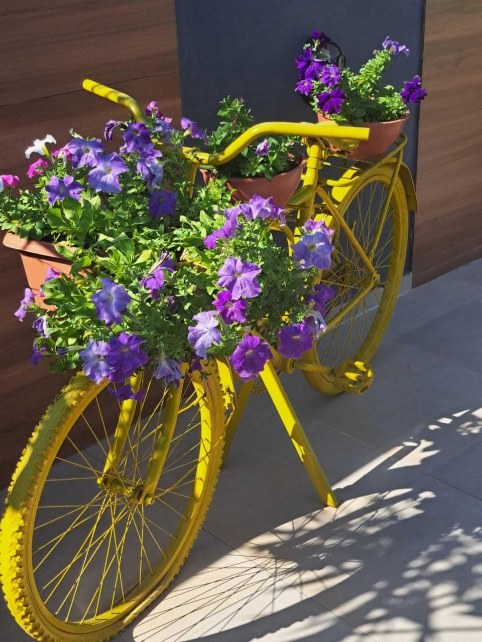 Garden, Balcony/Terrace