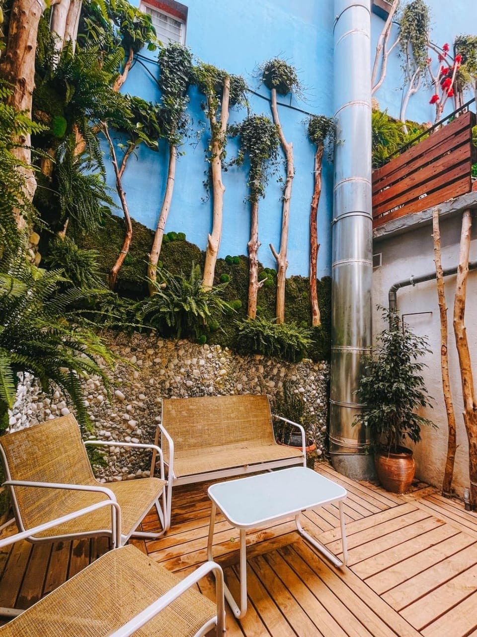Patio, Garden