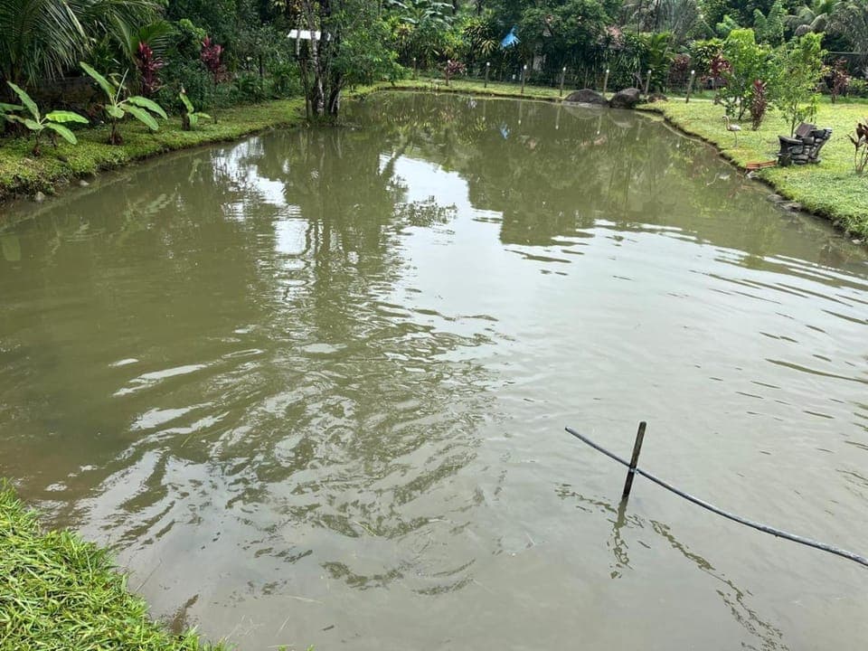 Chácara Beleza das Águas House in Cachoeiras de Macacu