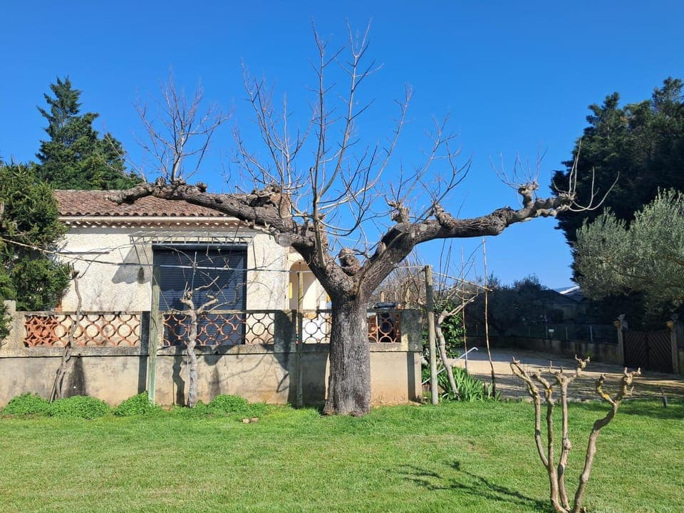 Spring, Day, Garden, Garden view