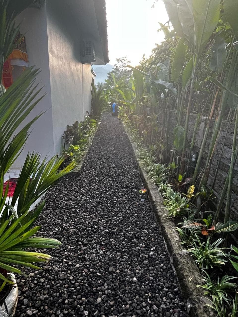 Garden view