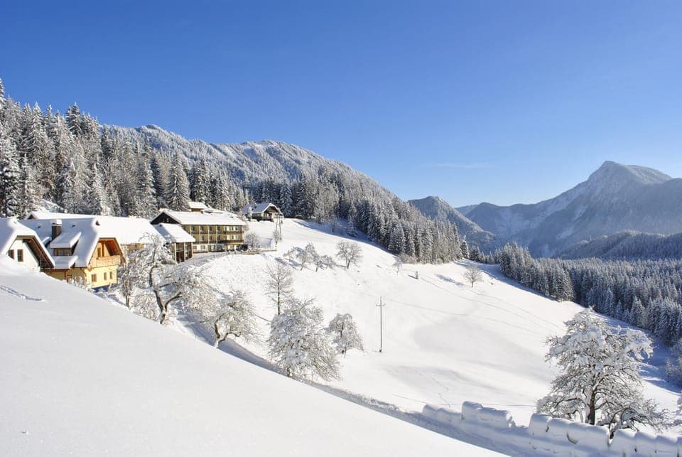 Day, Bird's eye view, Winter