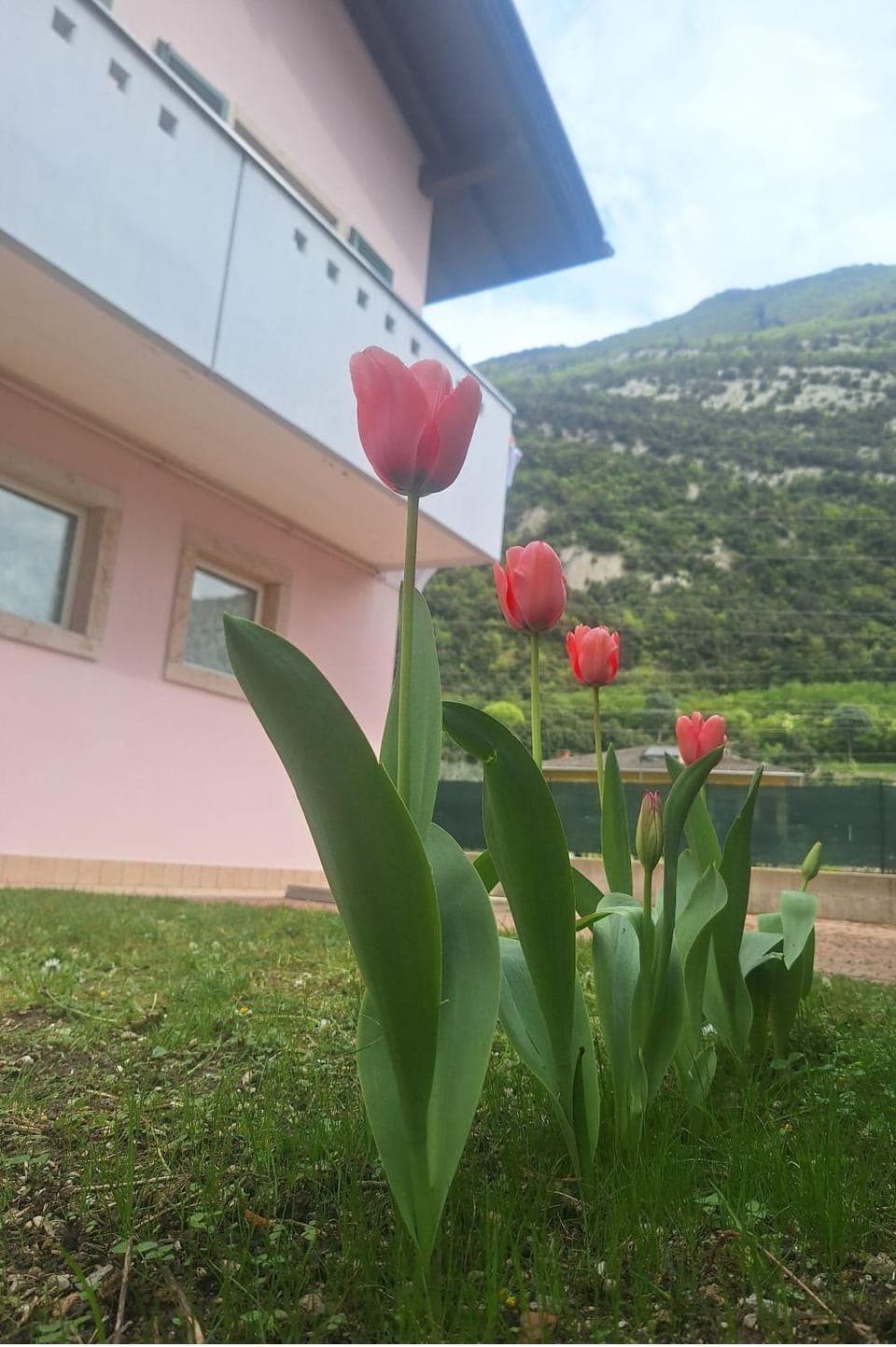 Property building, Garden