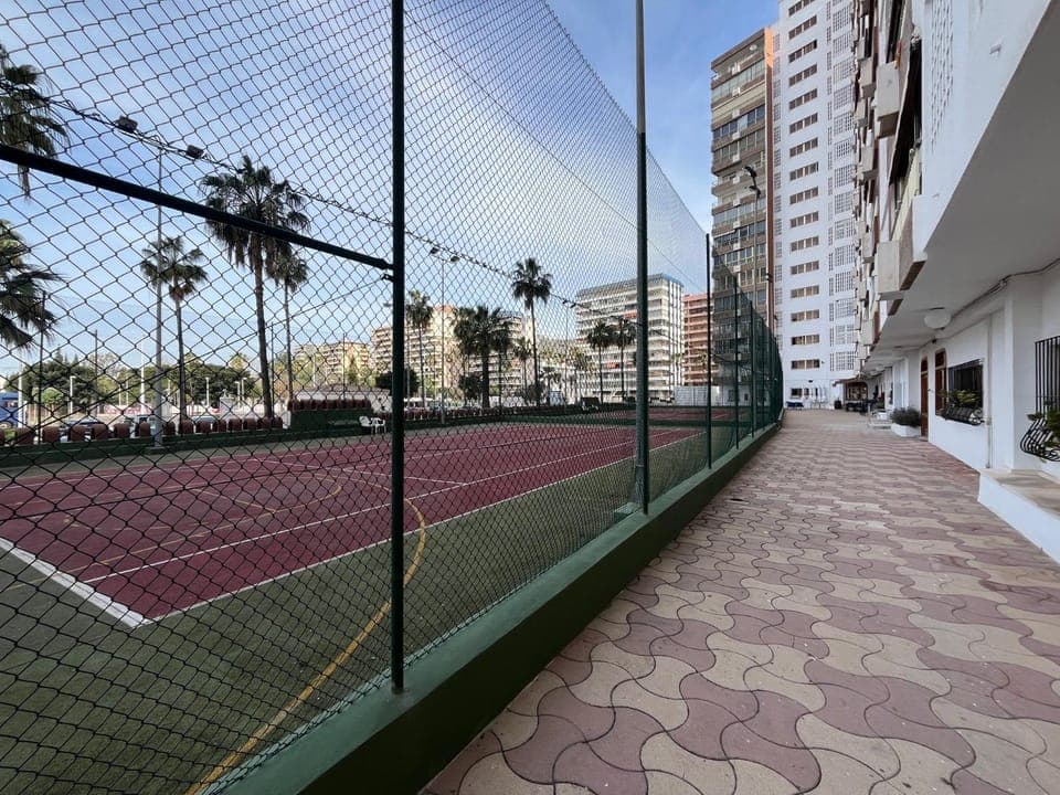 Day, Squash, Tennis court