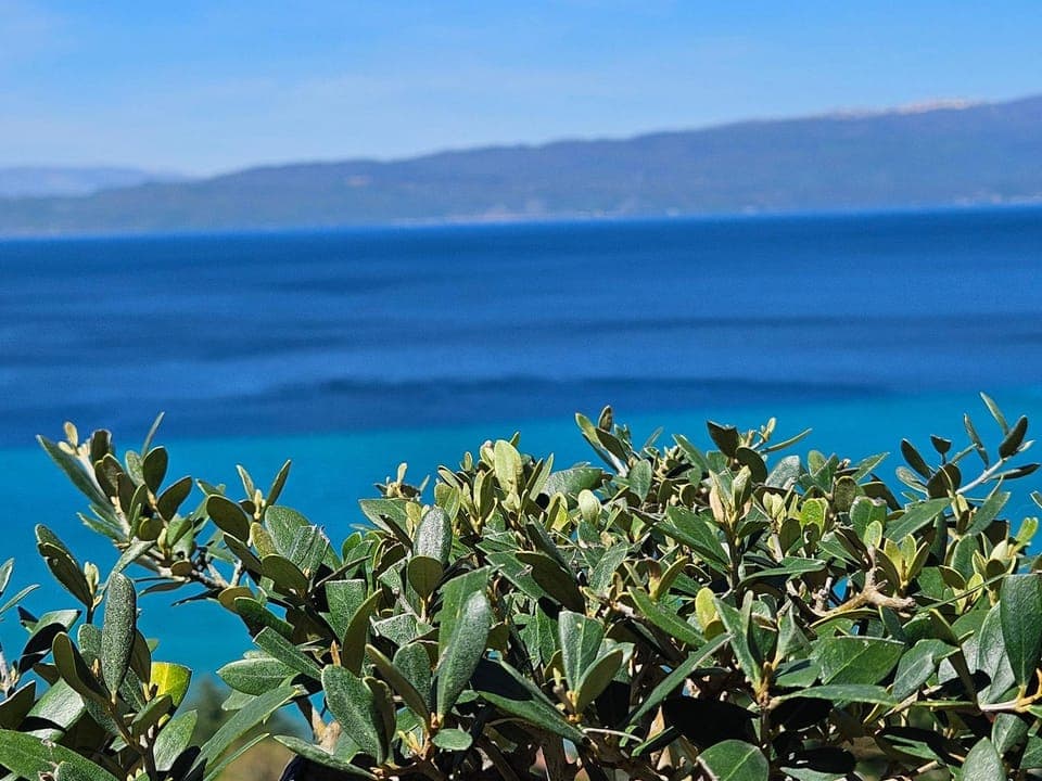 Lake view, Lake view