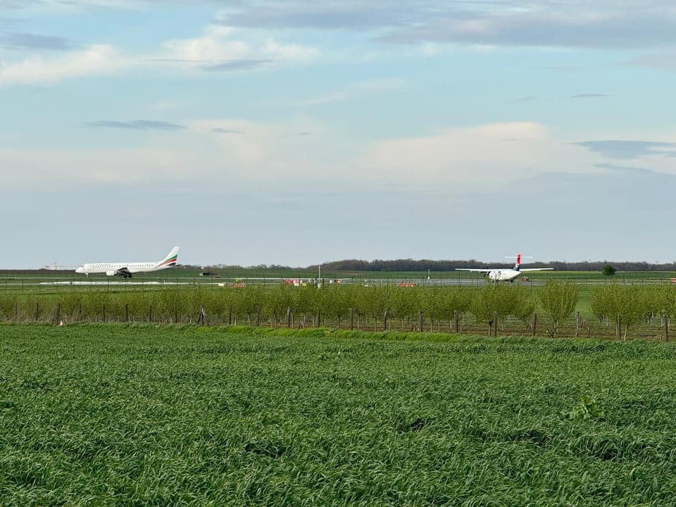 Spring, Day, Natural landscape