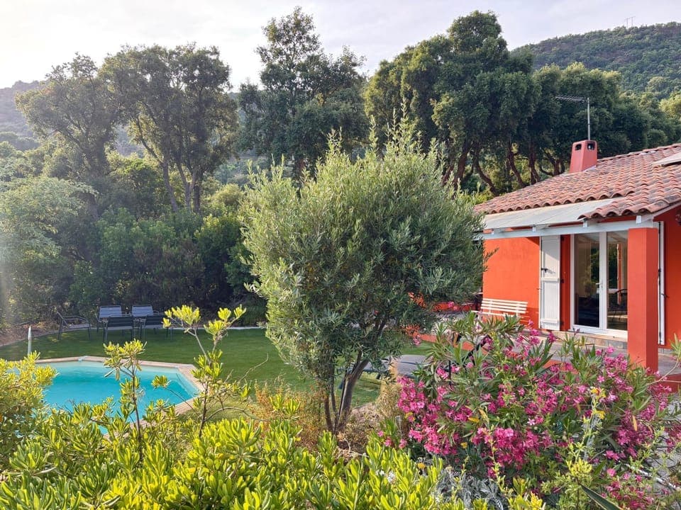 Natural landscape, Garden, Garden view, Pool view, Swimming pool, sunbed