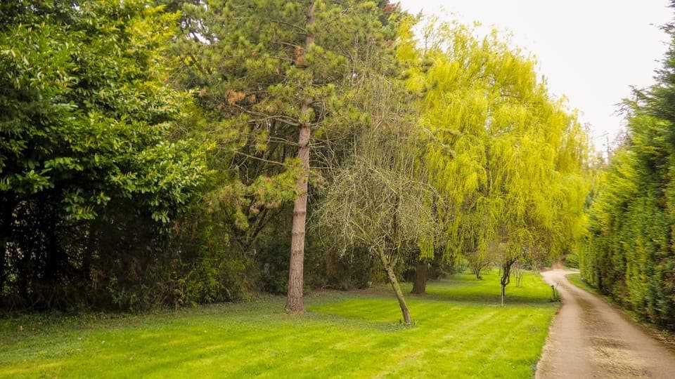Facade/entrance, Natural landscape, Garden