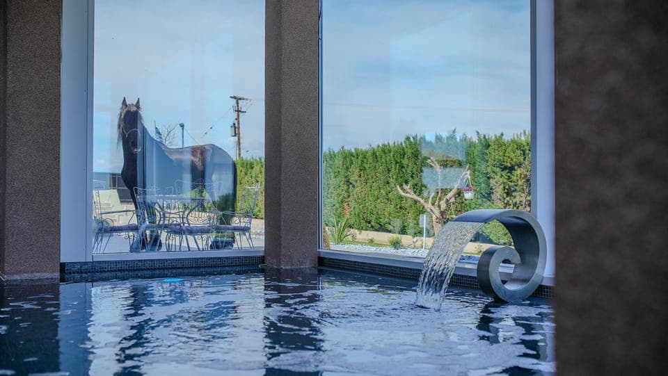 Hot Tub, Swimming pool