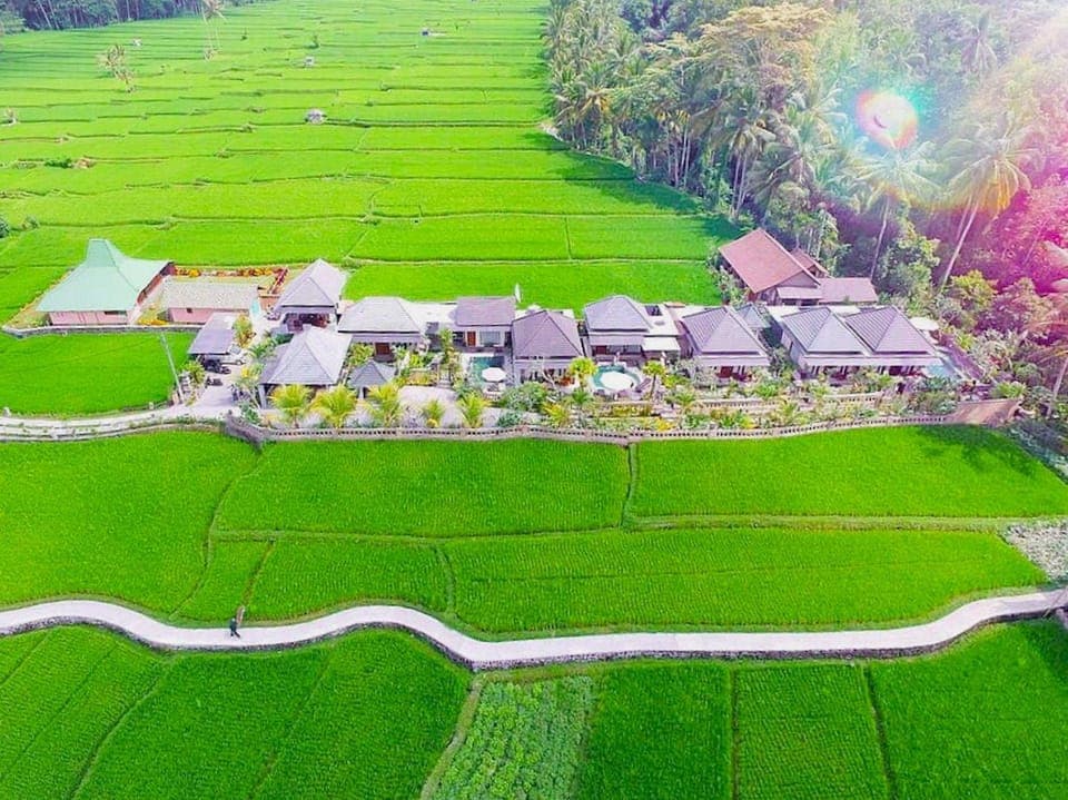 Natural landscape, Bird's eye view