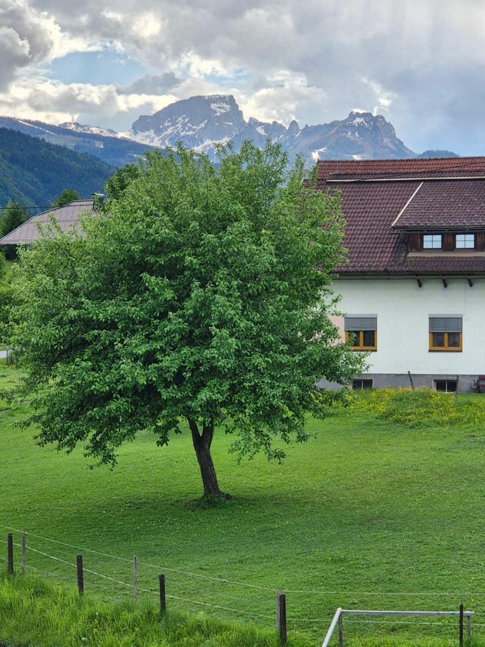 Garden, Mountain view