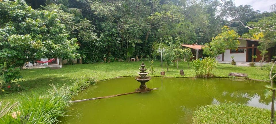 Natural landscape, Garden view, Lake view