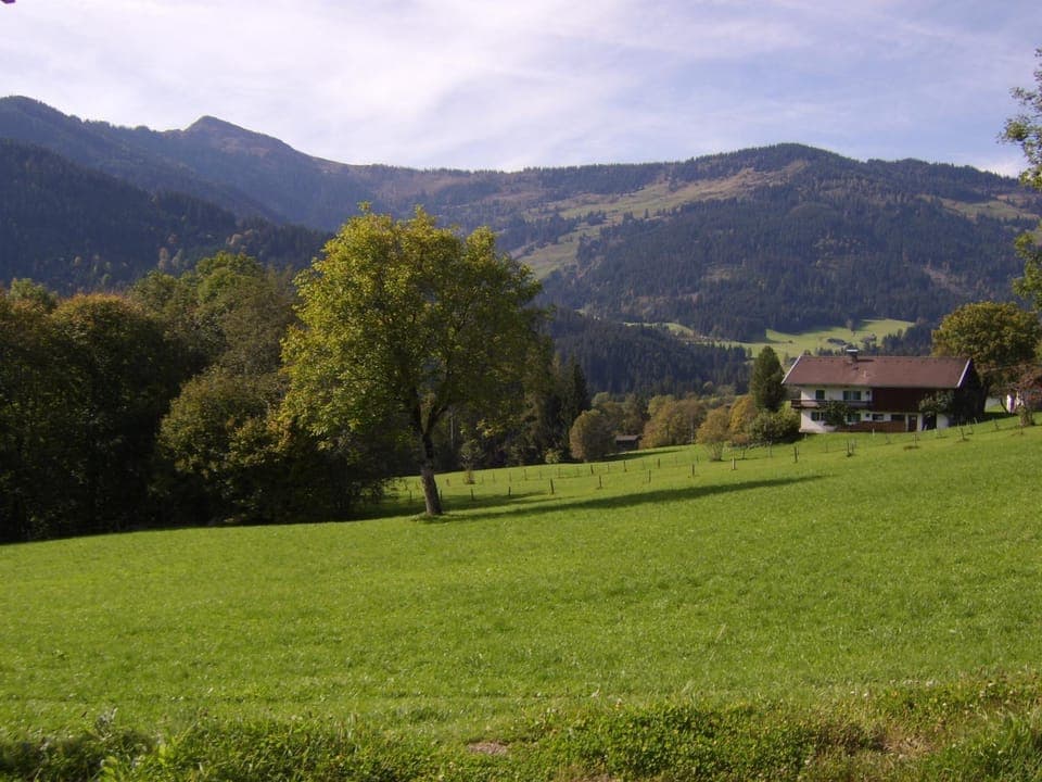 View (from property/room)