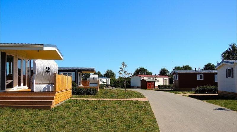 Spring, Garden, Garden view
