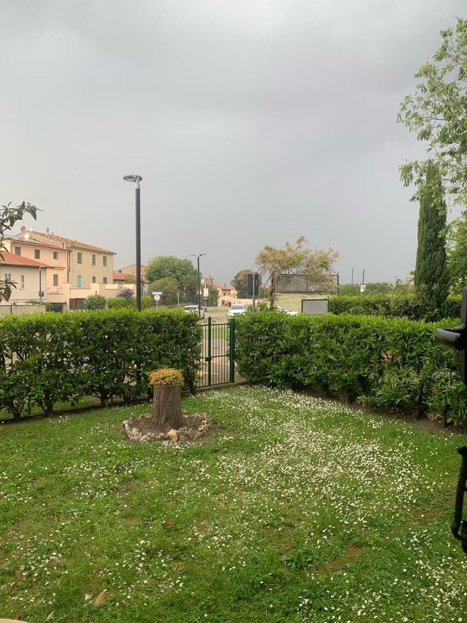 Property building, Spring, Natural landscape, Garden, Garden view