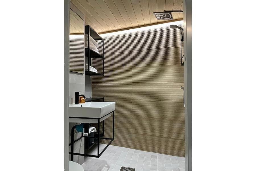 Shower, Toilet